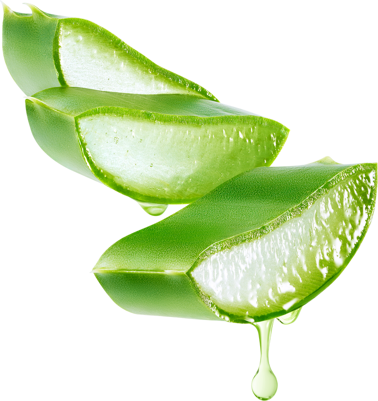 Aloe vera gel dripping from aloe vera slice